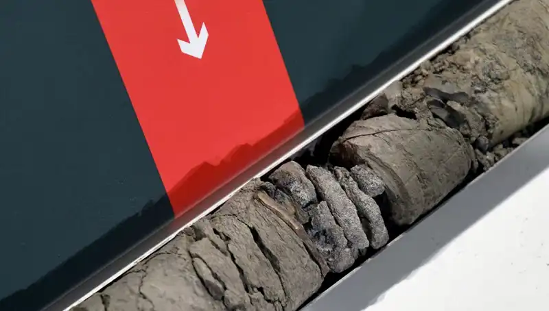 Müze Otoparkında Heyecan Verici Dinozor Fosili Keşfi