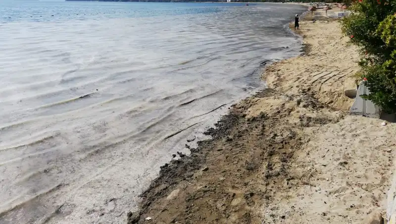 Müsilaj Problemi: 268 İşletme Geçici Olarak Kapatıldı