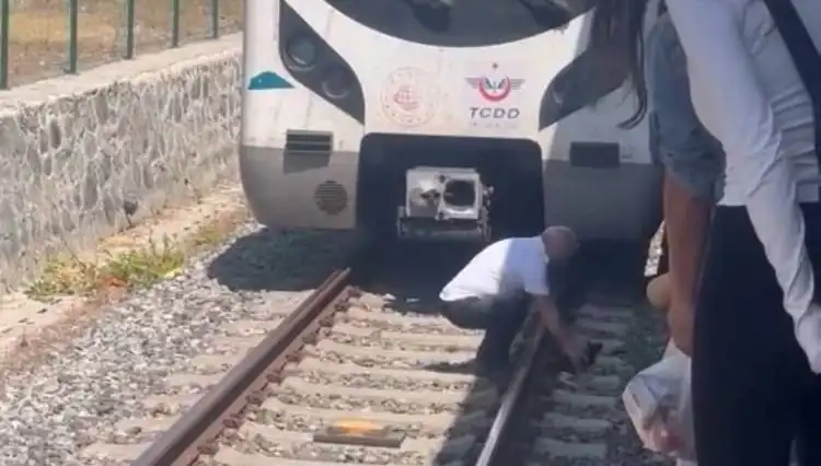 Fırtına Gibi Gelişme: Marmaray'da Hayvanlara Duyarlılık Örneği
