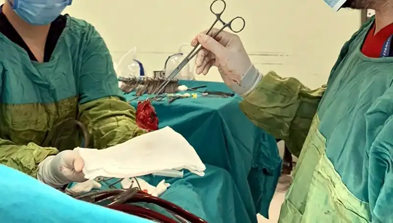 Kalp Kapağı Çürümüş Bir Hastanın 7 Saatlik Ameliyatı: Mucizevi Kurtuluş