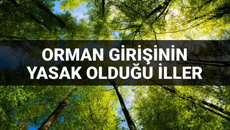 2025’te Ormanlara Giriş Yasağı Uygulaması Hangi İlleri Kapsıyor?