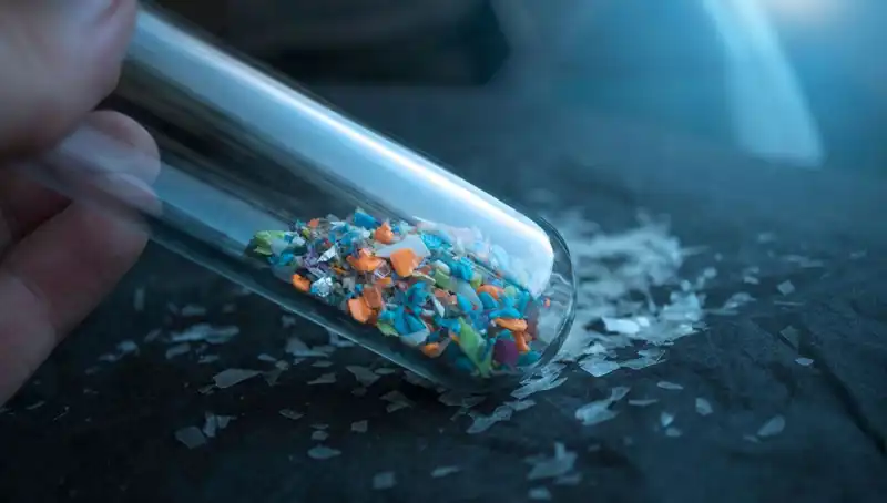 Mikroplastikler İnsan Beynine Kadar Sızdı: Sağlığımız Üzerindeki Etkiler Neler?