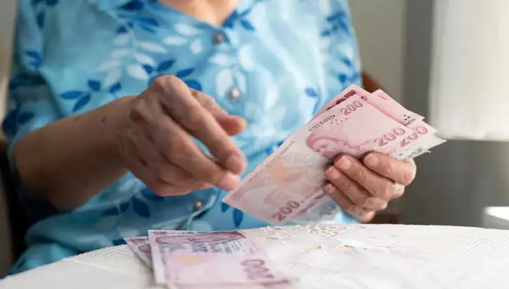 Emekliler: Dolandırıcıların Yeni Gözdesi Olması Tehlikesi