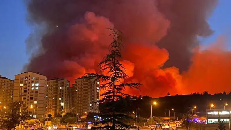 Bursa'da Yangın Alarmı: Şehri Kuşatan Alevler ve Kurtarma Çabaları