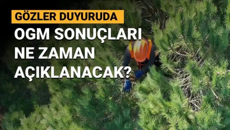 OGM Personel Alımı Sonuçları Bugün Açıklanıyor: Merakla Beklenen O Tarih!