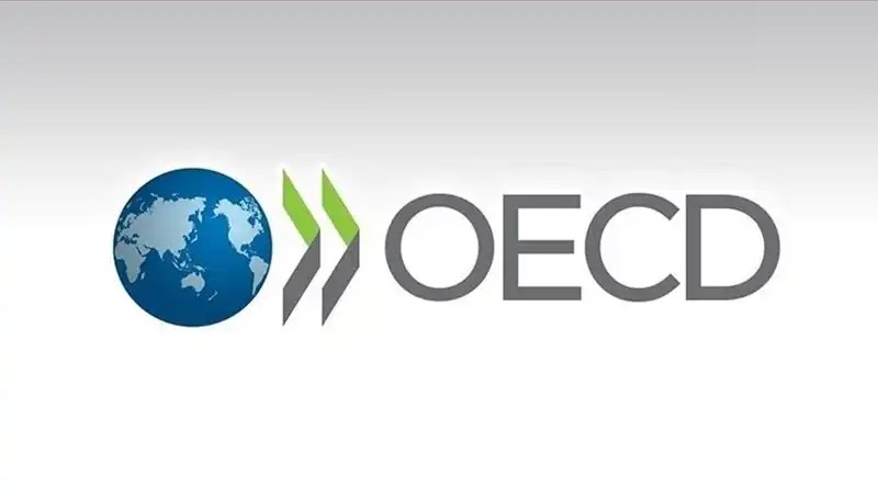 OECD Türkiye’nin Ekonomi Büyüme Tahminini Güncelledi: Beklentiler Ne Yönde?