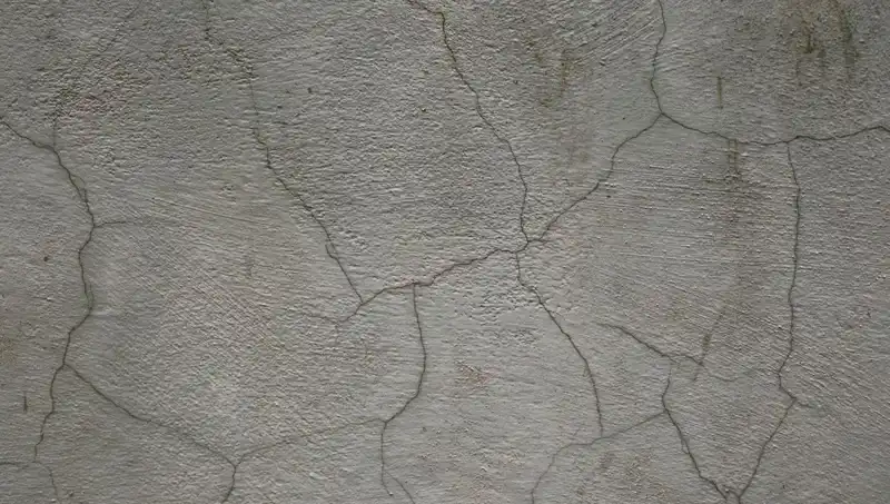 Canlı Beton: Kendi Kendini Onaran Geleceğin Yapı Malzemesi