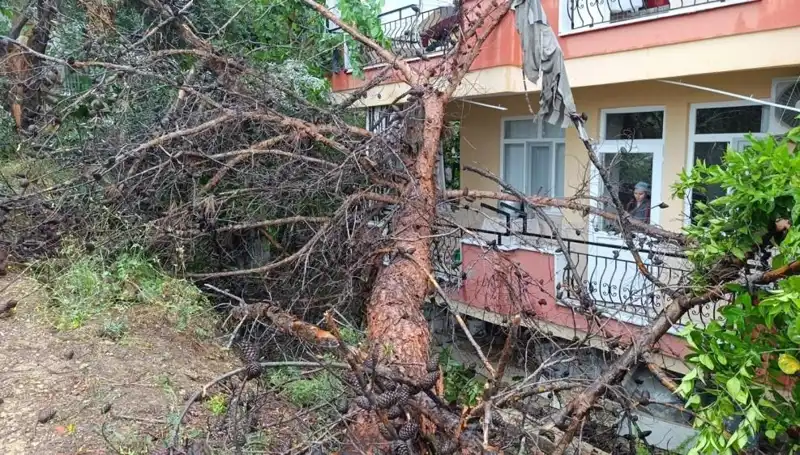Yağmura Dayanamadı: Bina Çöktü, Kentte Panik Sardı