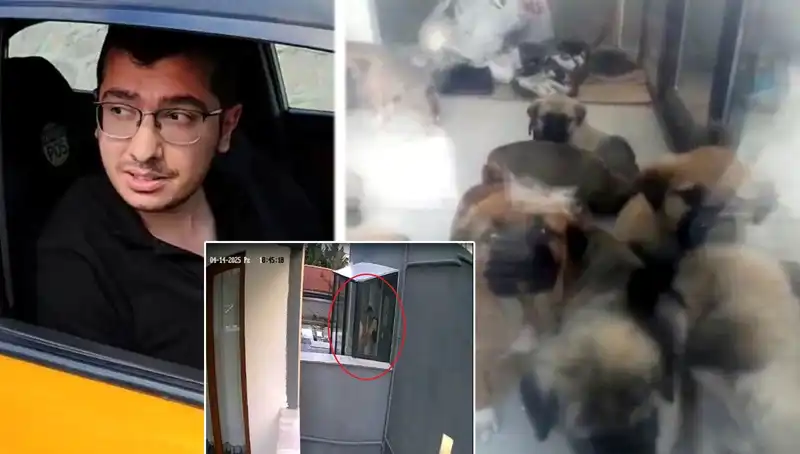 Hayvanlara Yönelik Korkunç Suç: Doktor 12 Yavru Köpeği Sadece Eğlence İçin Katletti