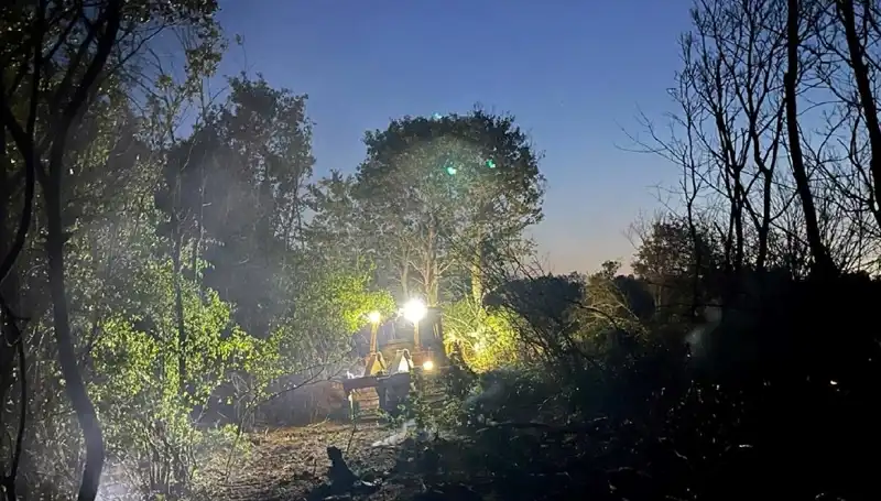 Edirne Orman Yangını Kontrol Altına Alındı: Doğa Yeniden Canlanıyor