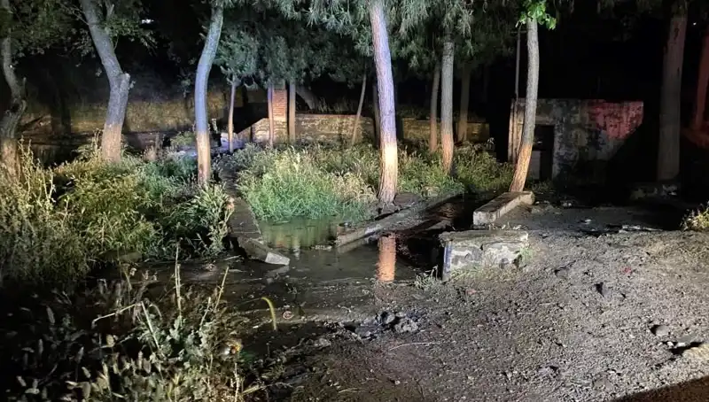 Manisa'da Parkta Şüpheli Ölüm: Olayın Ardındaki Gizemli Detaylar