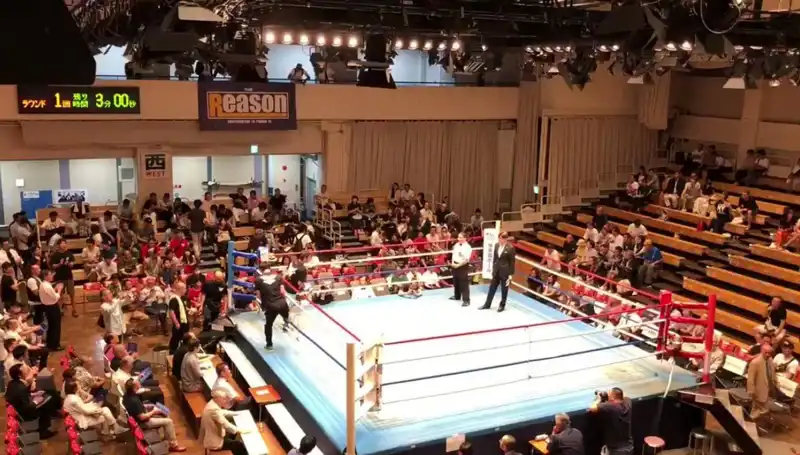 Japonya'da Ölümcül Turnuva: Bir Gün Arayla İki Ölüm Vakası Şoku