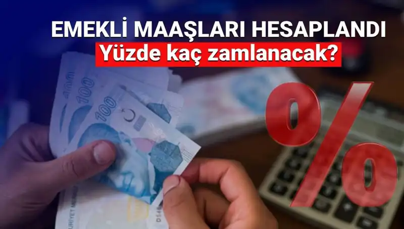Emekli Zammı Beklentisi Tavan Yaparken, 2024 Oranları Ne Olacak?