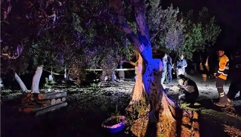 Çiftlikteki Baltalı Vahşete İki Gözaltı: Olayın Perde Arkası