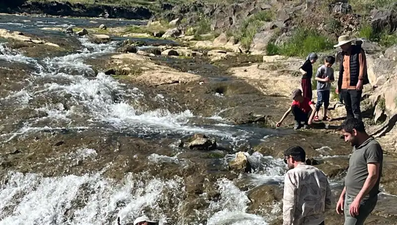 İnci Kefalinin Büyüleyici Göçü: Doğanın Harikası Turistleri Çekiyor