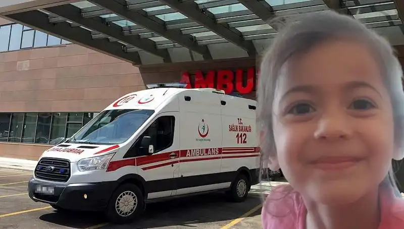 8 Yaşındaki Roza'dan Acı Ayrılık: 10 Ay Sonra Beklenmedik Kayıp